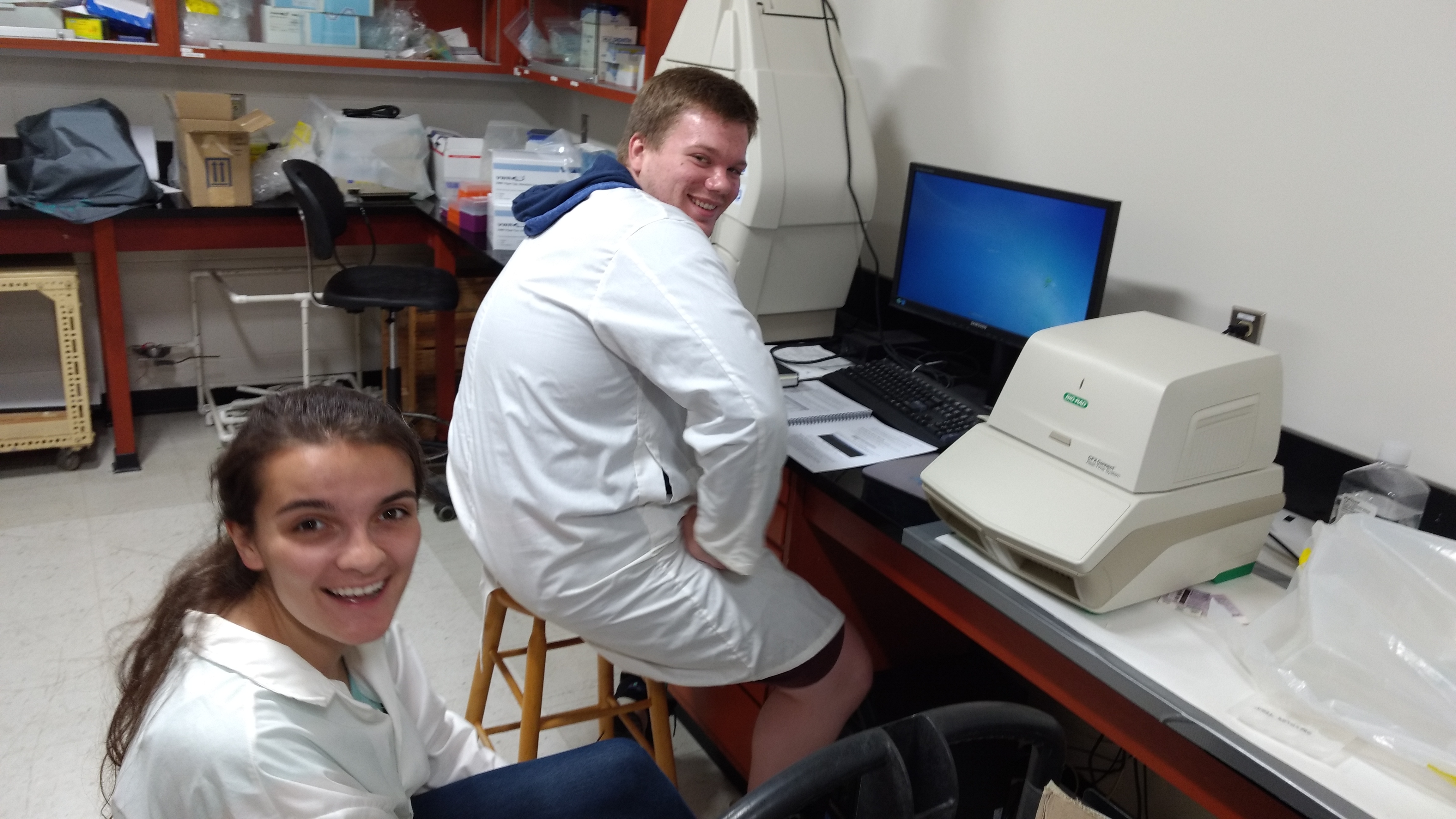 working hard | Wyeth Lab
